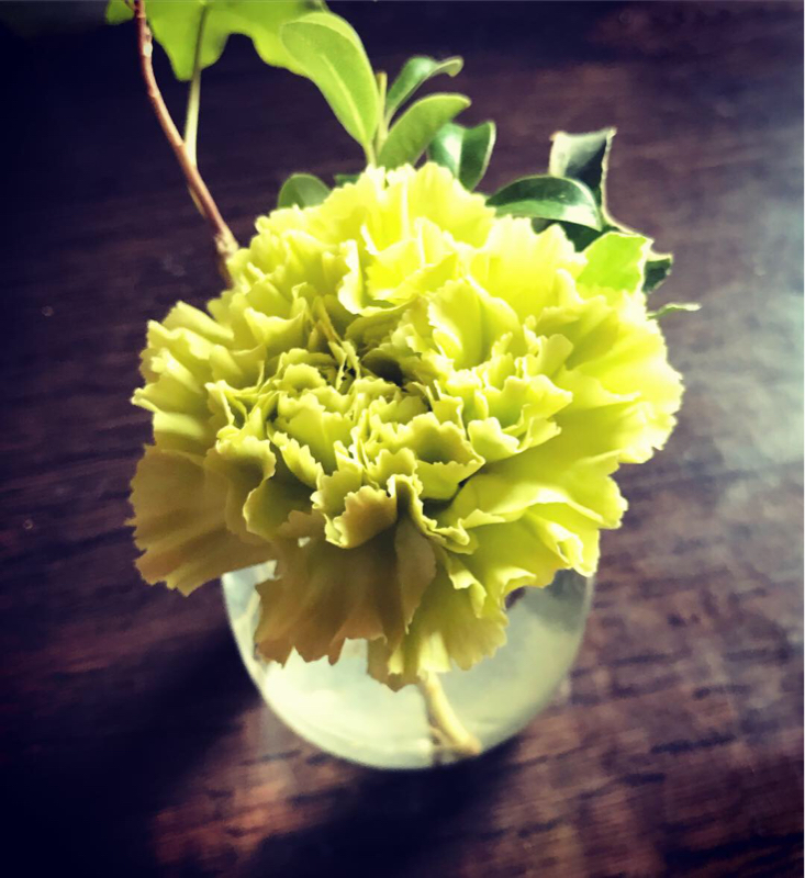 好きなものの話5