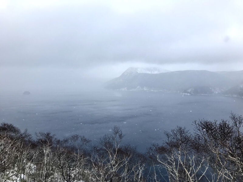 好きなものの話