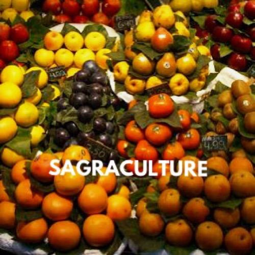 サグラカルチャー