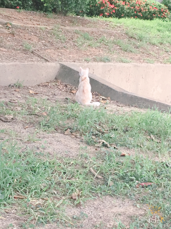 先輩のこととセクハラ先輩のこと