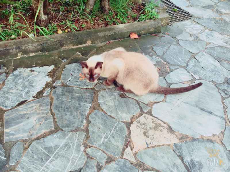 セクハラ先輩に朗読を聞いてもらった話