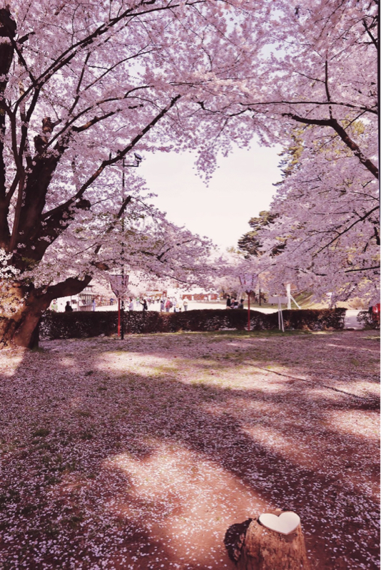 津軽弁で青森の観光スポットを紹介するはんで