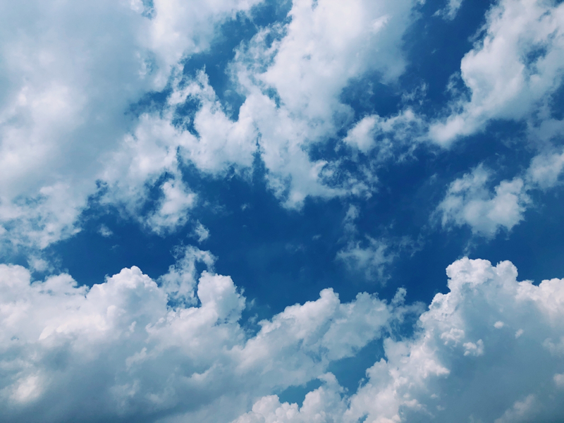 知り合いの舞台役者の話