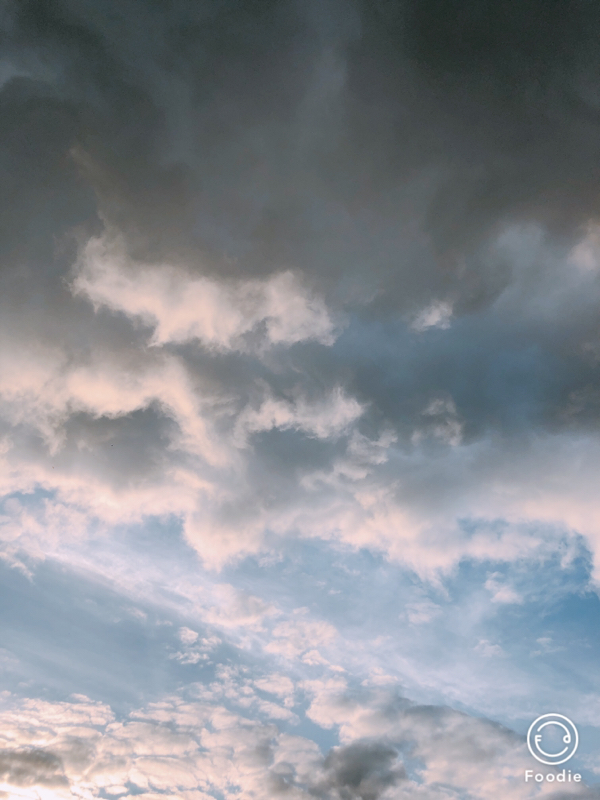 #6 今まで見た中で一番綺麗なへびのぬけがらだった