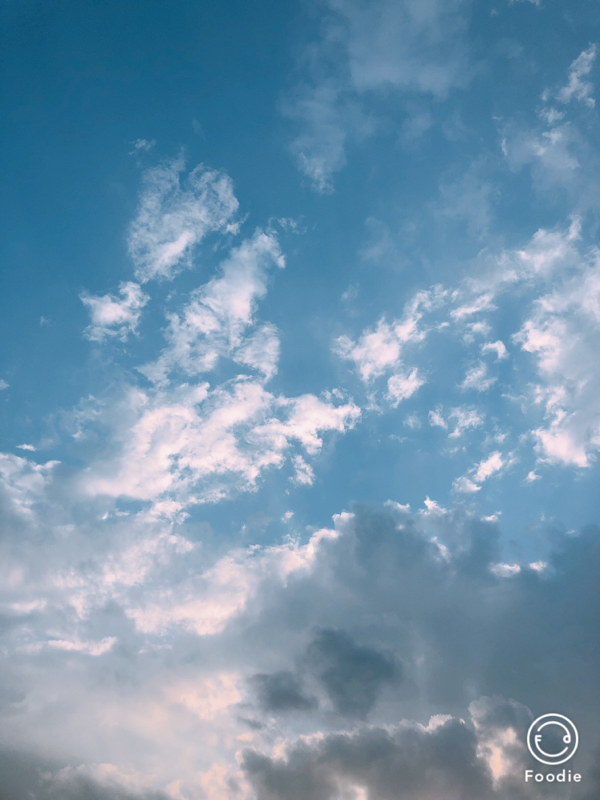 #11 リアルとネットは反比例