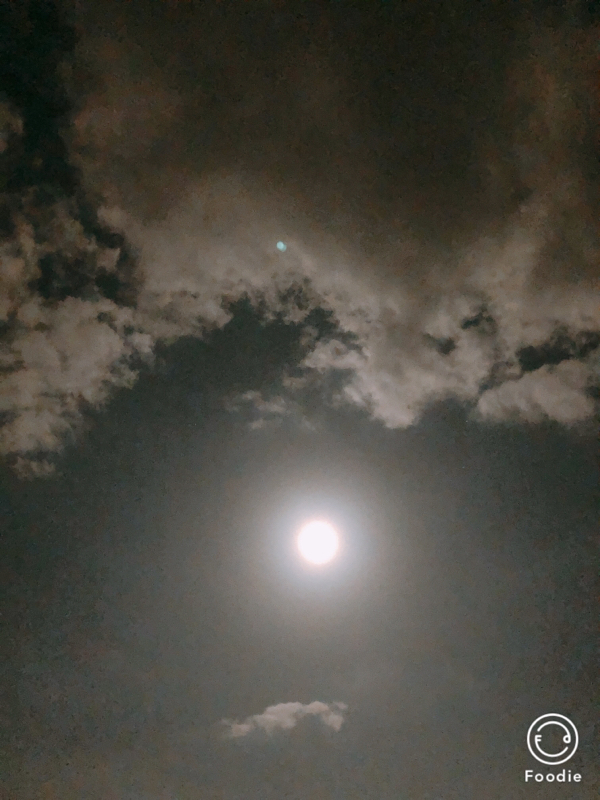 #12 プレゼントあげられる人間になりたい