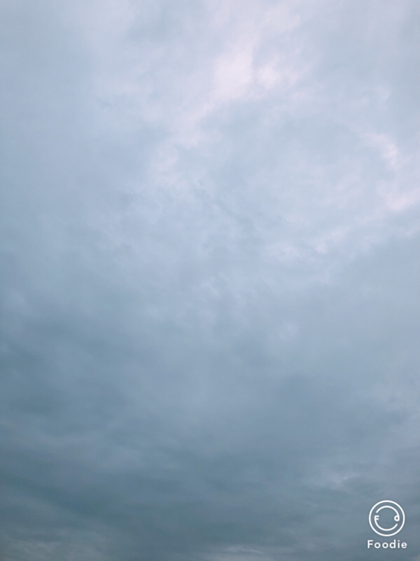 #13 合同企業説明会後の日本庭園