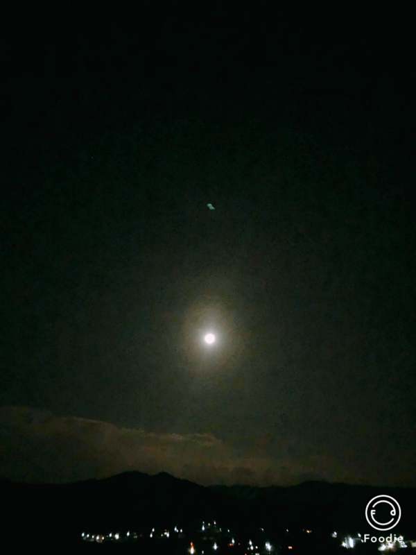 #17 25歳のわたしまとめ。