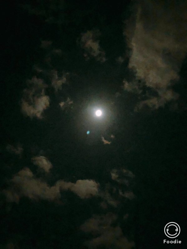 #18 12時8分にわたしは生まれた