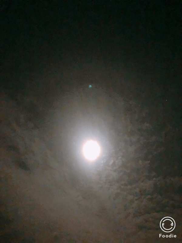 #19 クリスマスといつからかのパエリア