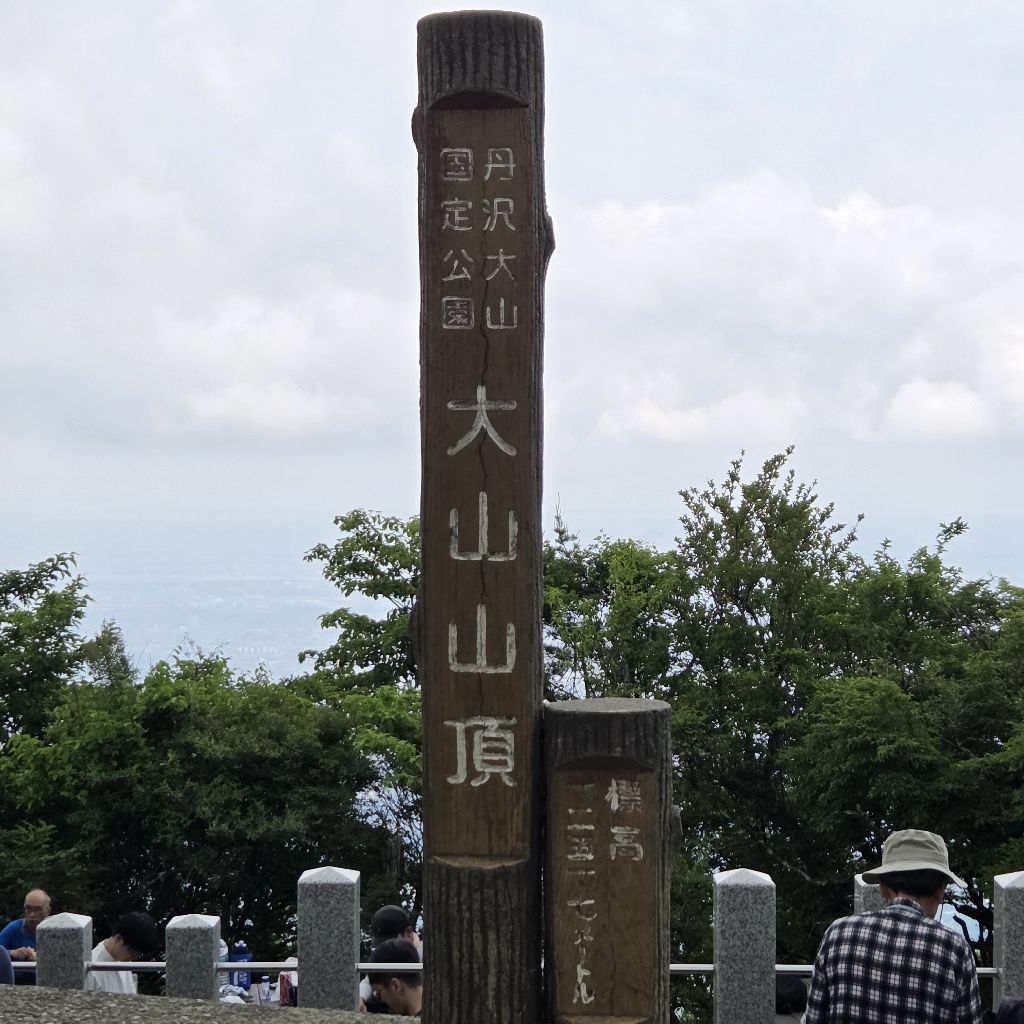 命からがら