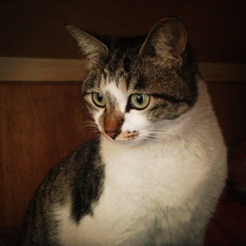 はじめまして。