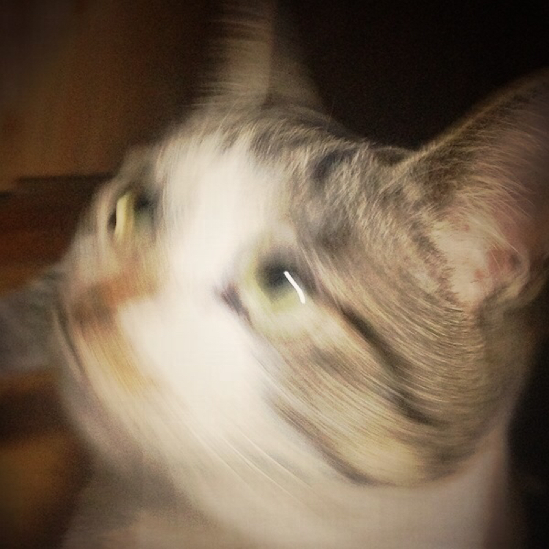 はじめまして。