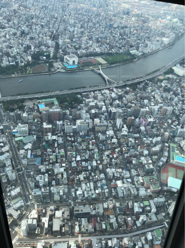 ゲームトーク！今回はfalloutについて