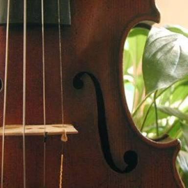 えすびーだいやりー