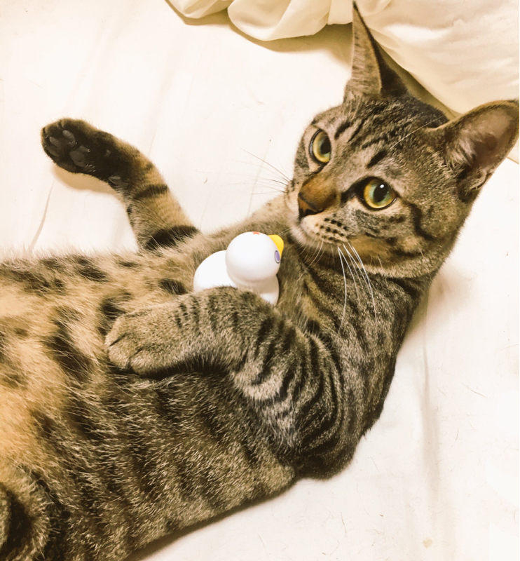 声がでかい！！！