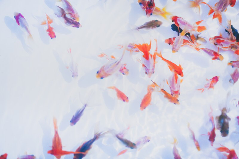 旬四季ネタ二つ