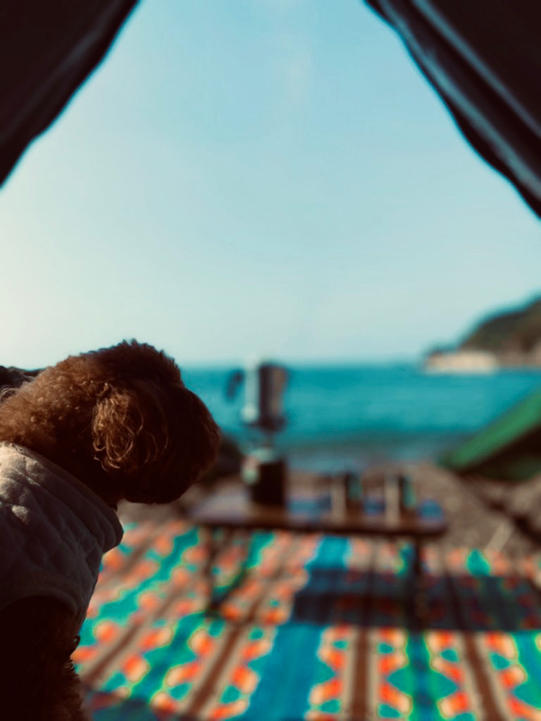 さんぽしゅうろく