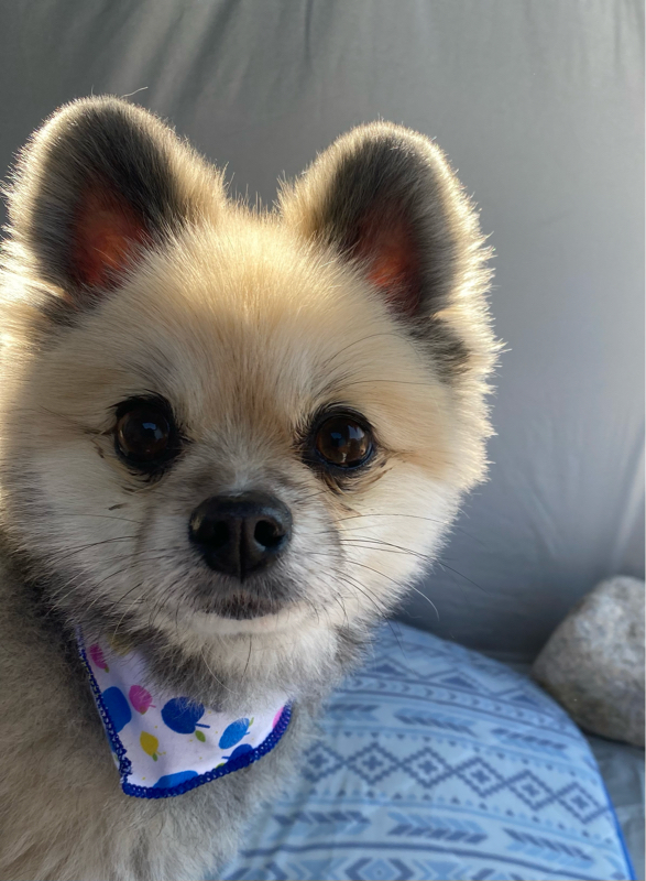 iTunes cardのプレゼントキャンペーンについて。(いまさら😓)