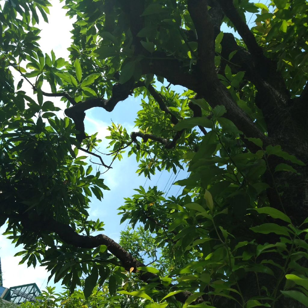 クリスタルボウルちゃんを自分のために奏でて〜１９日目〜