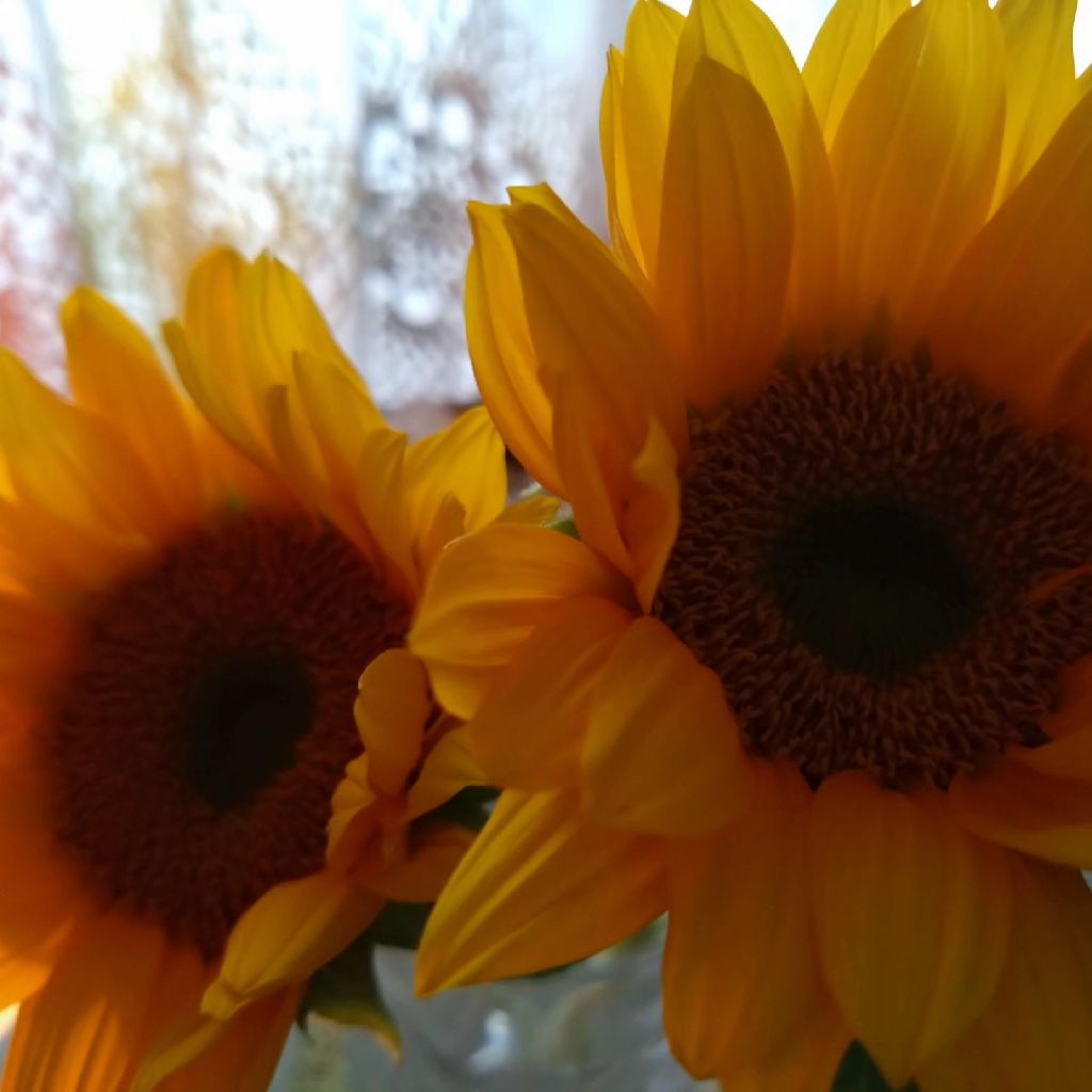 クリスタルボウルちゃんを自分のために奏でて〜22日目〜