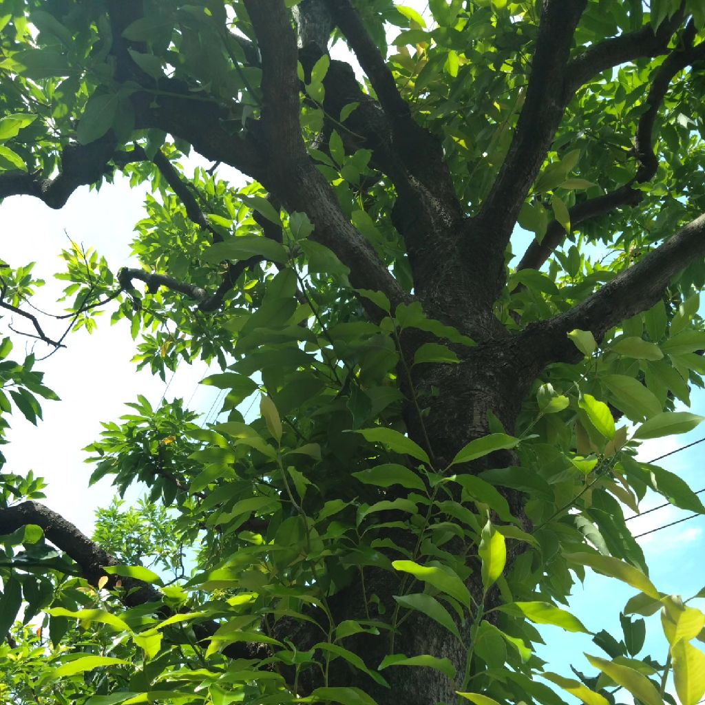 クリスタルボウルちゃんを自分のために奏でて〜23日目〜