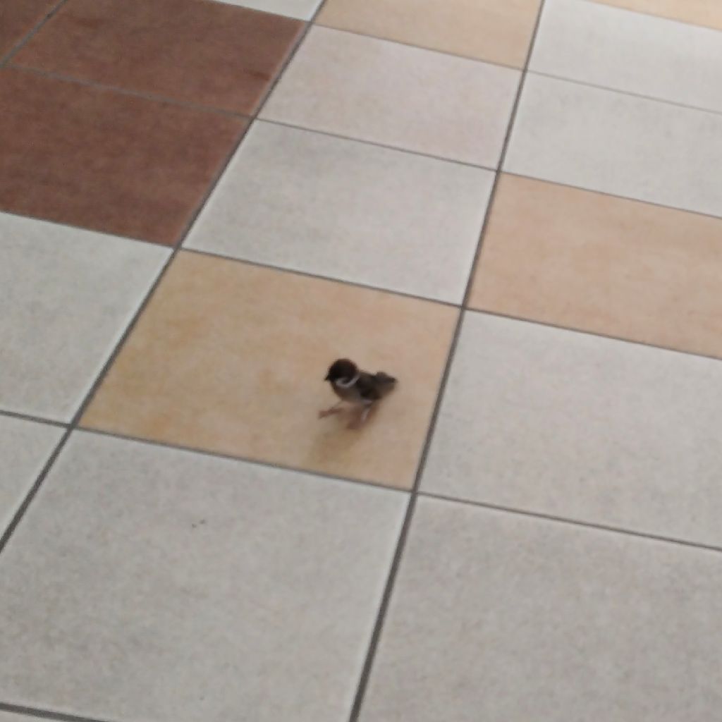 クリスタルボウルちゃんを自分のために奏でて〜25日目〜