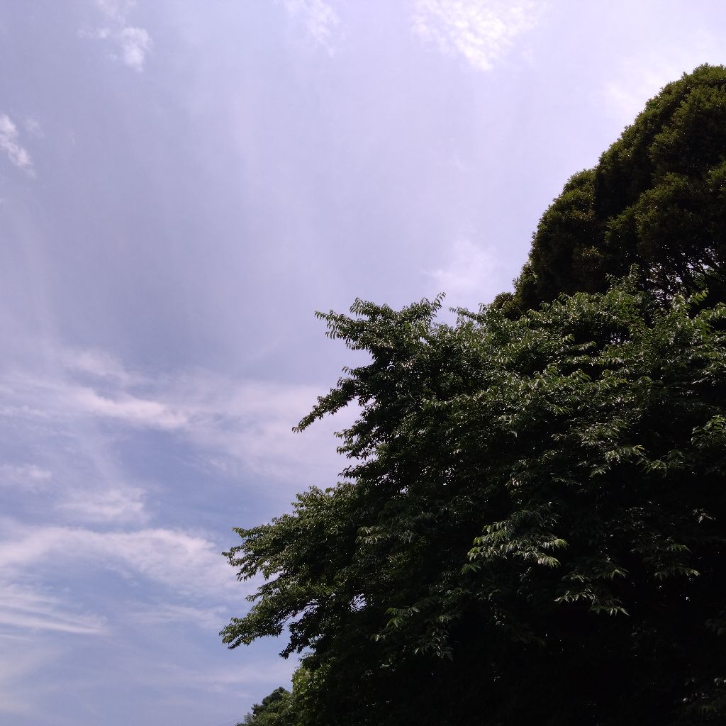 クリスタルボウルちゃんを自分のために奏でて〜26日目〜