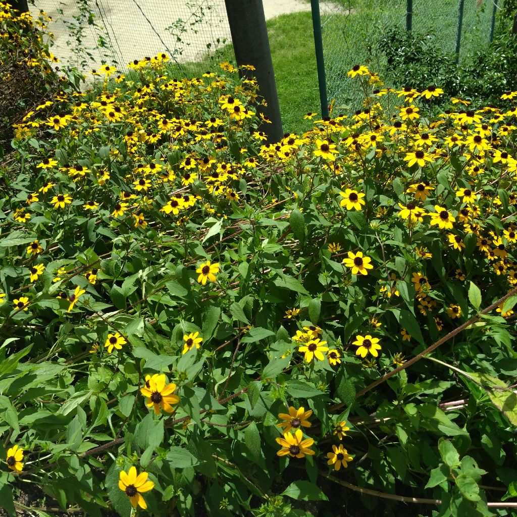 クリスタルボウルちゃんを自分のために奏でて〜３３日目〜