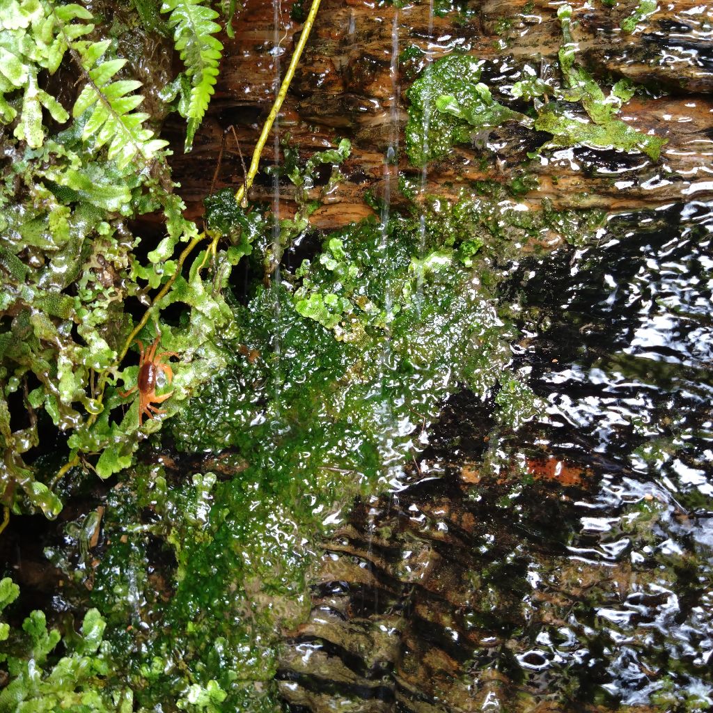 水源地行ってきたぜ✨