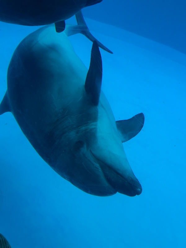 08 クソみたいな恋のはなし