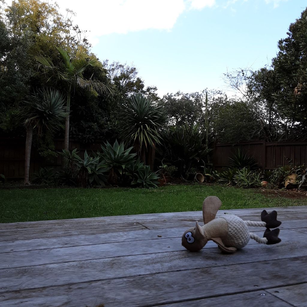 今日から4連休の国にて