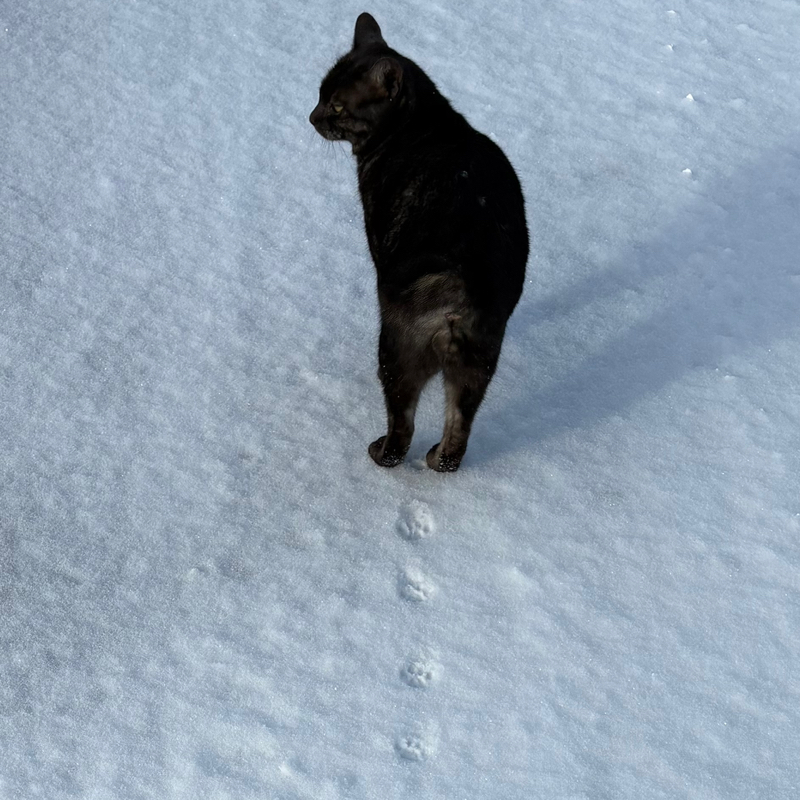 ☀️🌾おこめ もみもみ🍙🟡