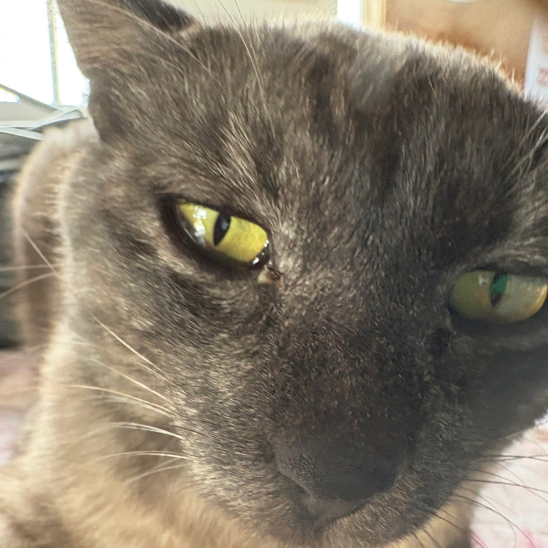 ☀️🌾おこめ もみもみ🍙🟡