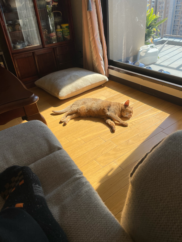 『注意』自己中心的な人の特徴とその結果。