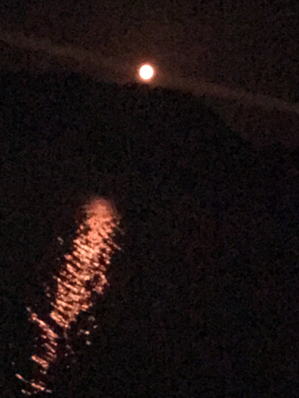 しょうもない語り