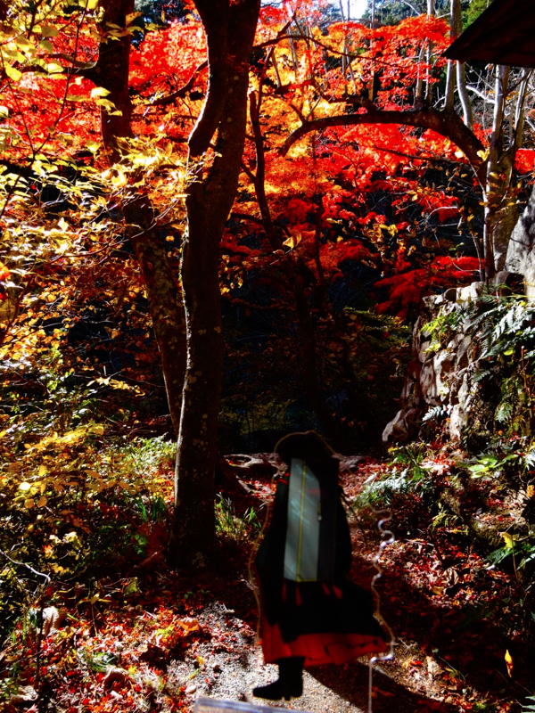 冰九前作の分析と最近の解釈を捏ねる