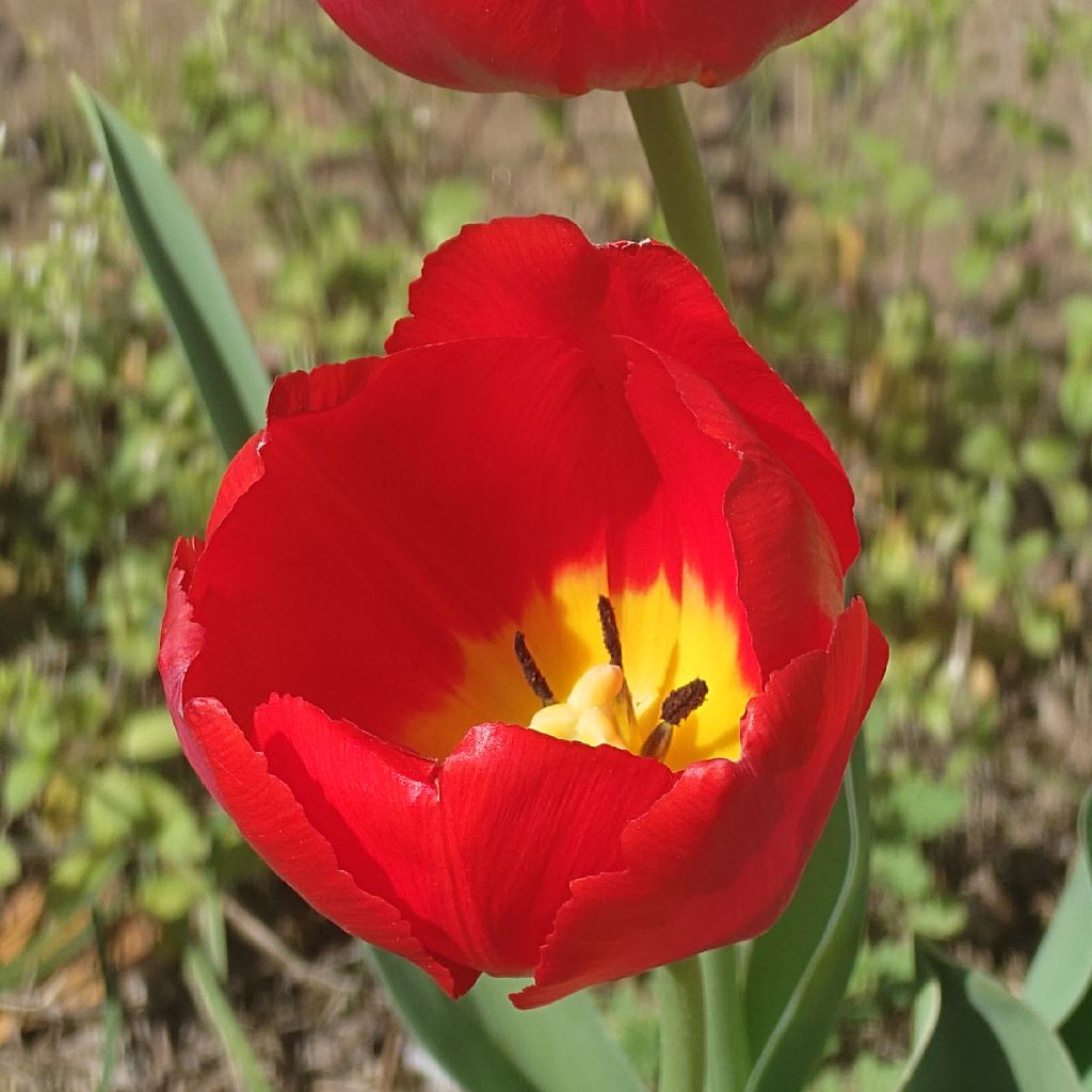 喫茶店て好き？