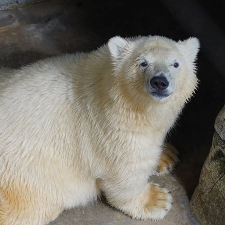 月行…tukiyuki...