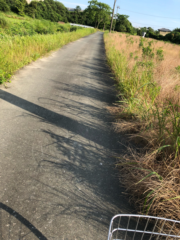 ちょっとえっちなお話