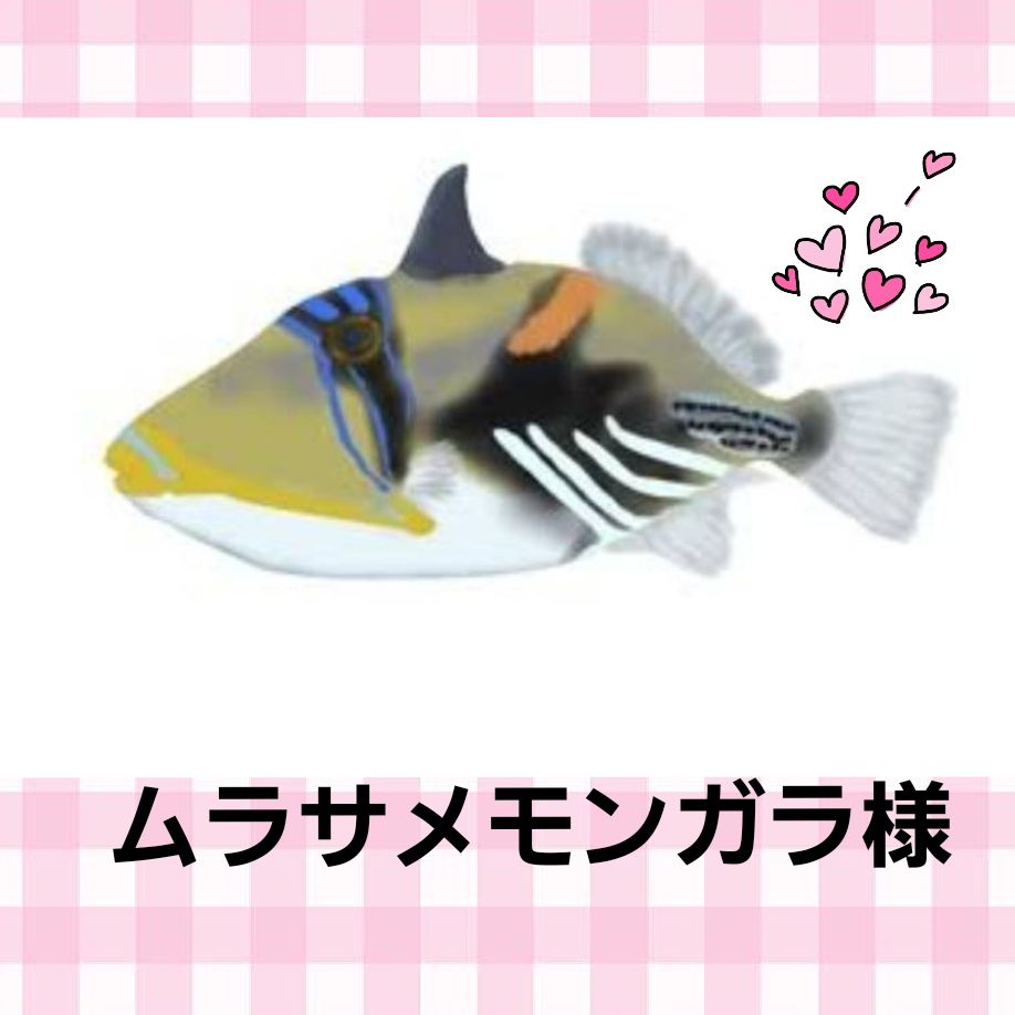 【謝罪収録？！】°･🐠#こえたび番外編🤣