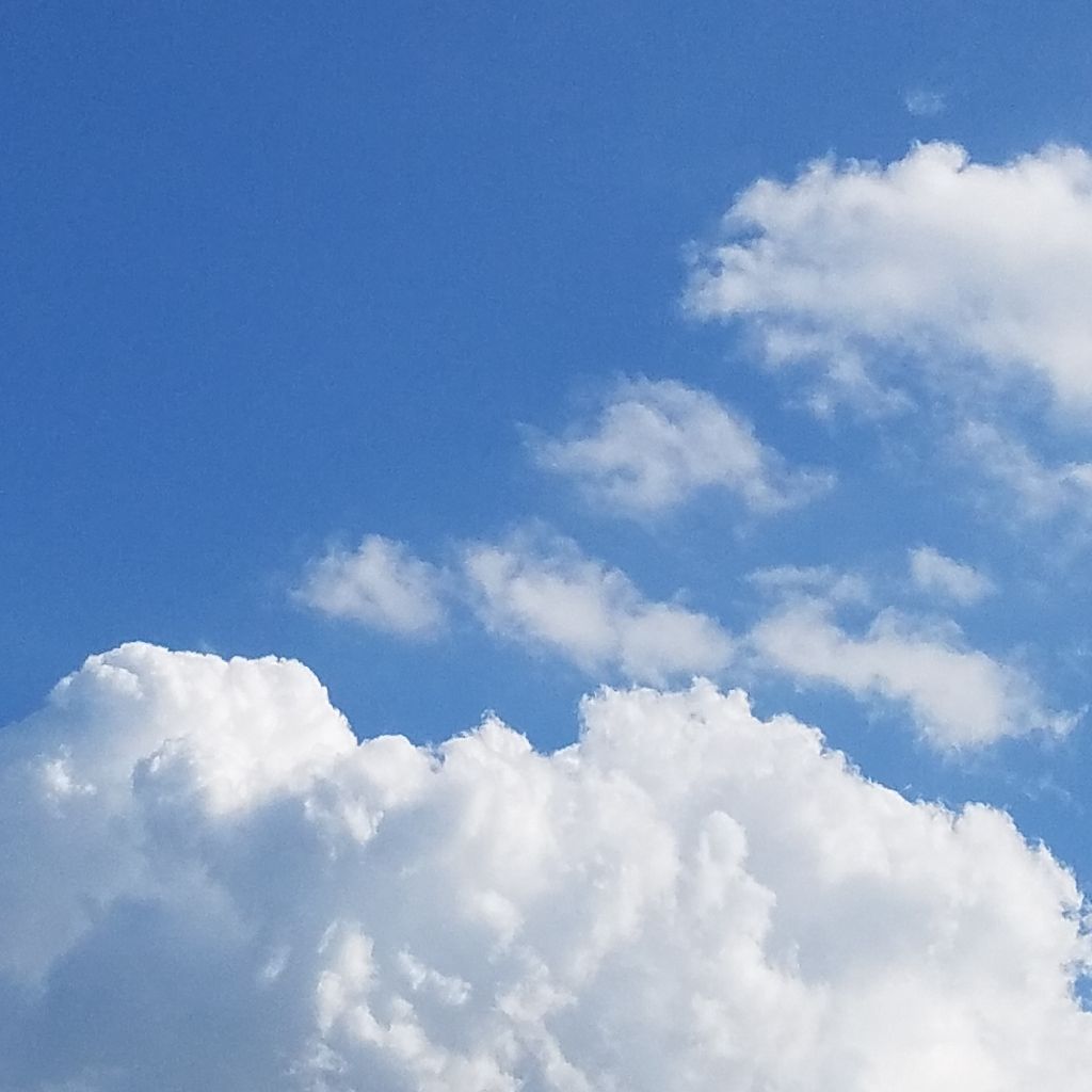 ハロハロウィーン🎃🦇🕸