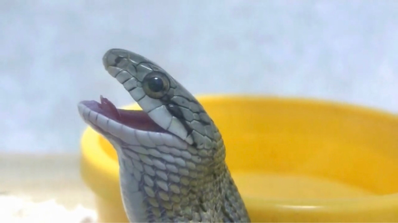 （始めて）手探りなトーク