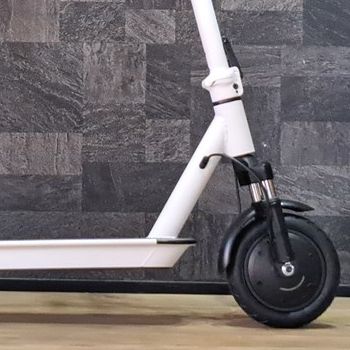 448  ながら・・・