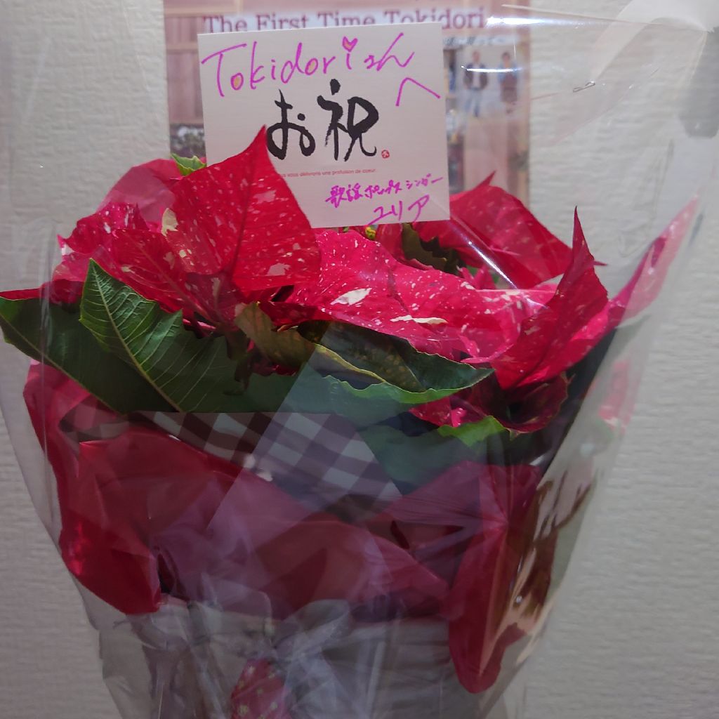 471  もう遅いんや