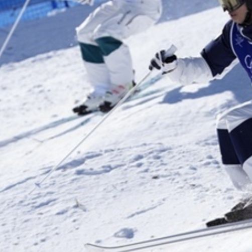 485  カンパイ税