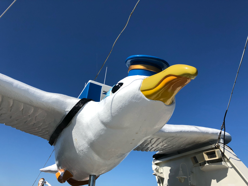 明日から5連休！