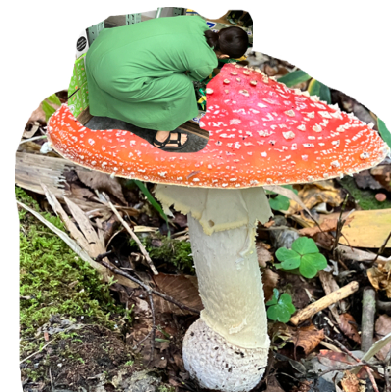 とある夫婦の会話