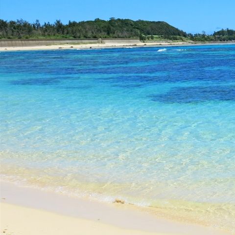 沖縄民謡 加那よー インストゥルメンタル