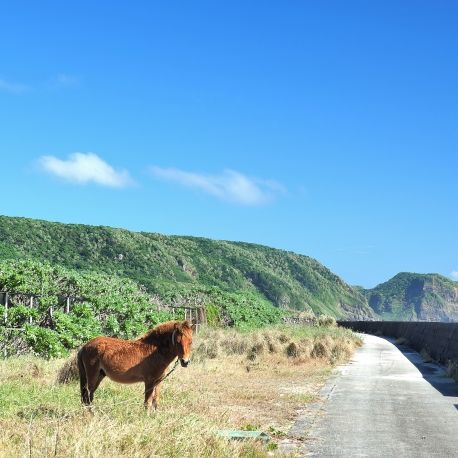 与那国島民謡「どなんとばるま(素唄)」